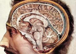 Ανατομική «κατανομή» συμπτωμάτων εγκεφαλοπάθειας