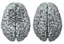 Νευρολογία-ψυχιατρική-αρχικά συμπτώματα πάρκινσον